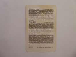 Nostalgie Anleitungskarte Schwarzer Peter, Editoy AG