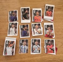 Panini 2026 Coca Cola Sticker Komplett