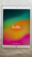 iPad Pro 10.5" 256 GB Silber Wi-Fi + Cellular