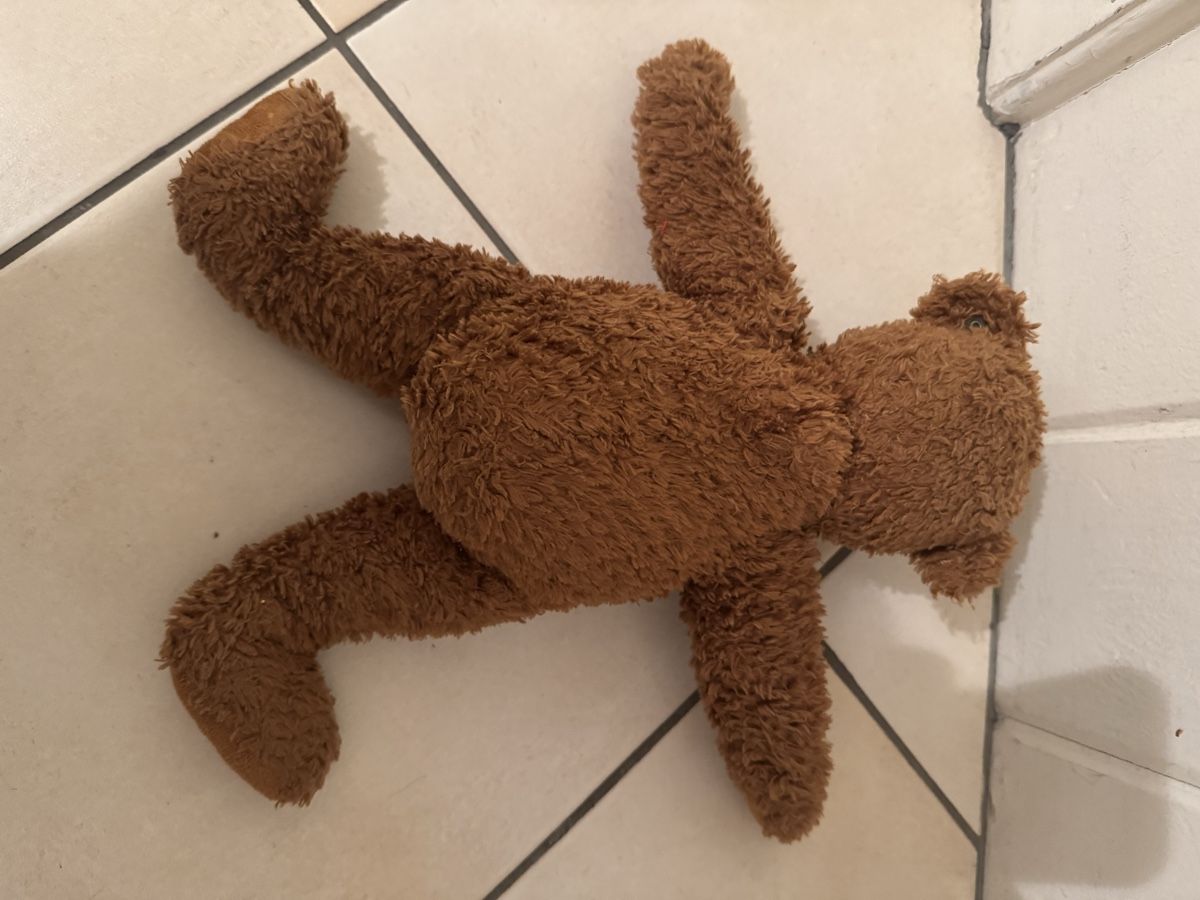 Steiff Giocattoli: Steiff Teddybär – Usato da Frick venduto da nannali98 2