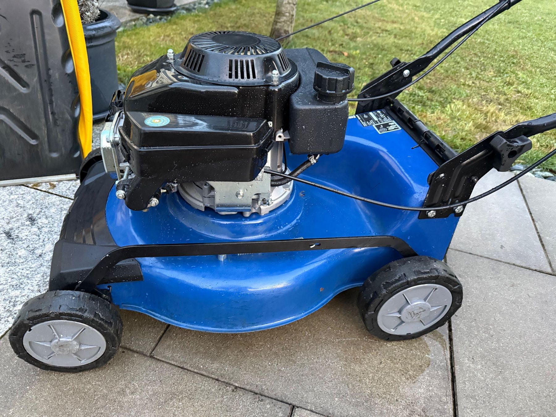 Rasenmäher: Rasenmäher Einhell BG-PM 46/1 – Gebraucht aus Wettingen von bar7 3