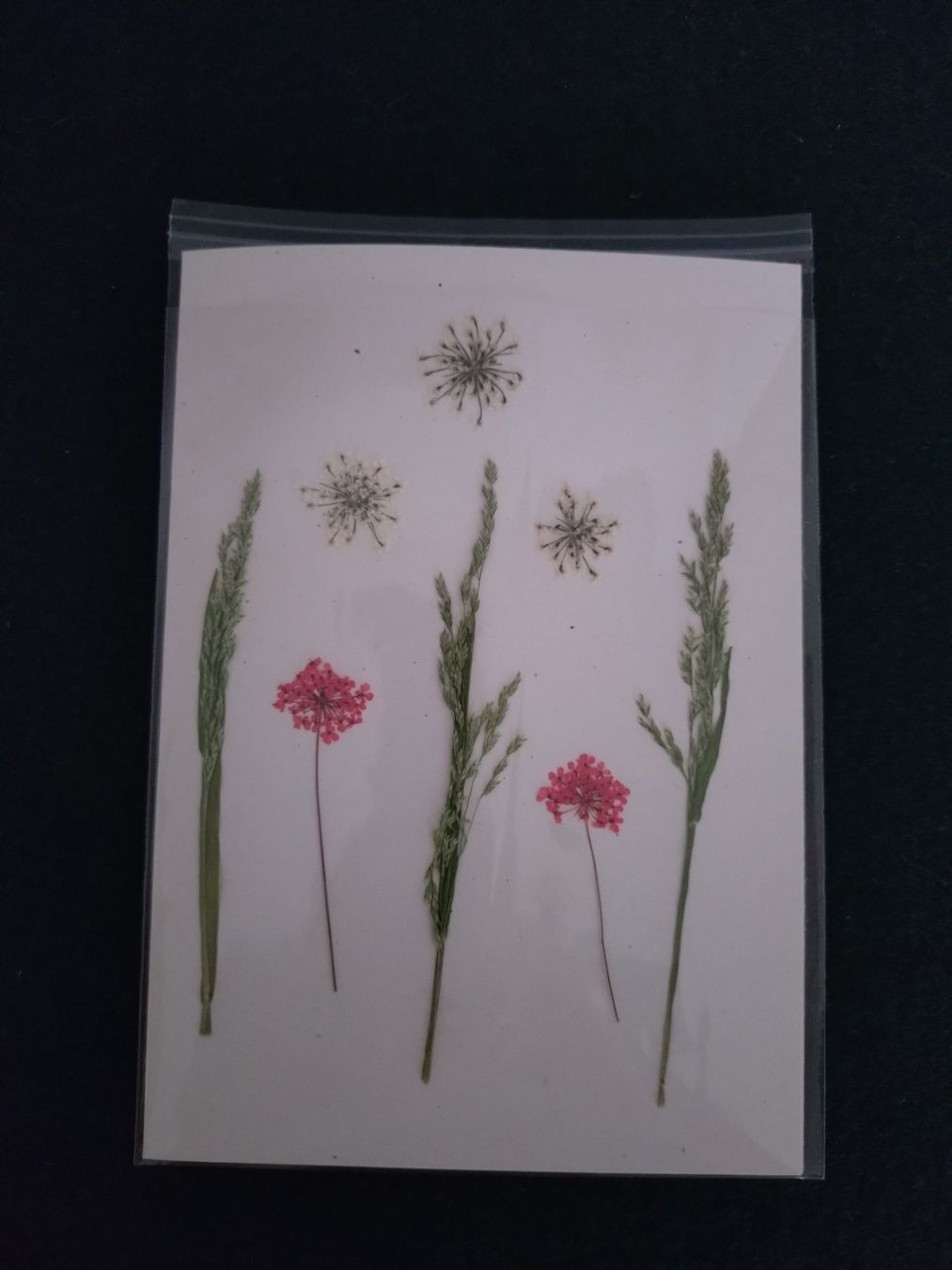 Cartoline: Grusskarte mit echten Blüten – Nuovo e nell'imballaggio originale da Kilchberg ZH venduto da chr_g5kn 2