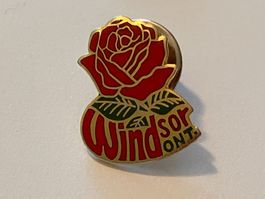 1 Pin Windsor