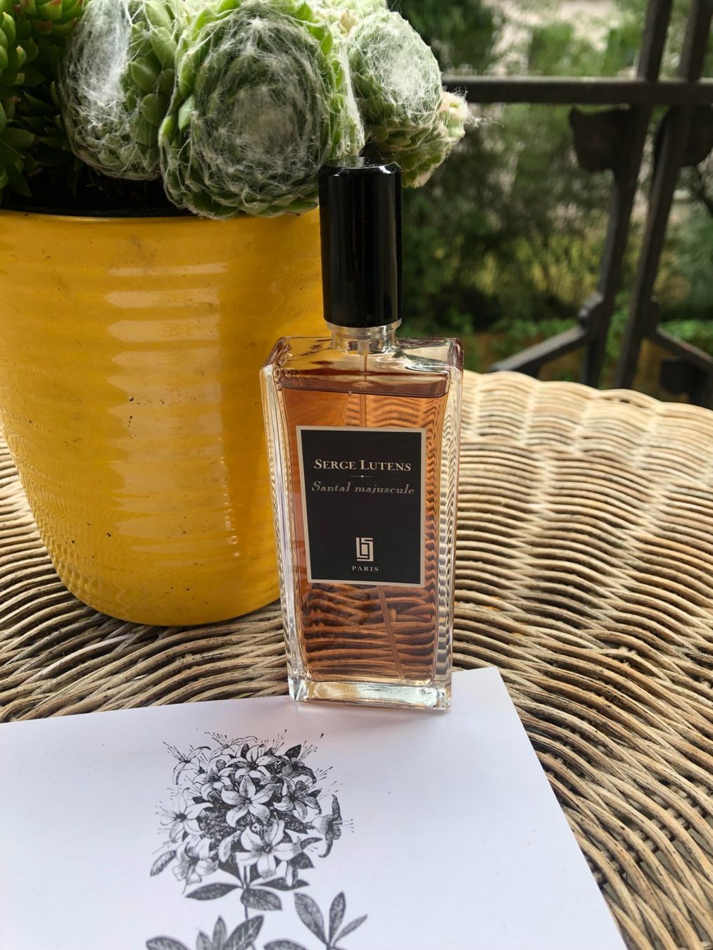 Serge Lutens Profumi & Eau de Toilette: Serge Lutens, Santal majuscule , 50ml – Usato da Lausanne venduto da Na2718