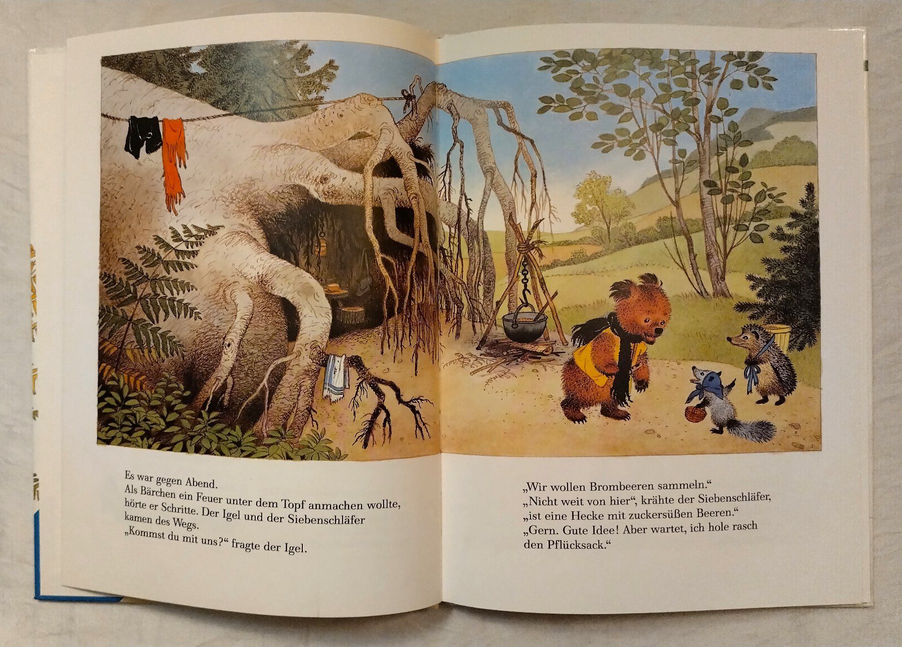 Libri: Das Flötenbärchen / Bären Bilderbuch von Gerda Muller – Usato da Bellach venduto da JingleJerry 4