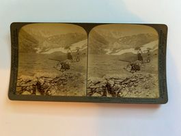 Stereo-Karte 1901 Grosser St. Bernhard