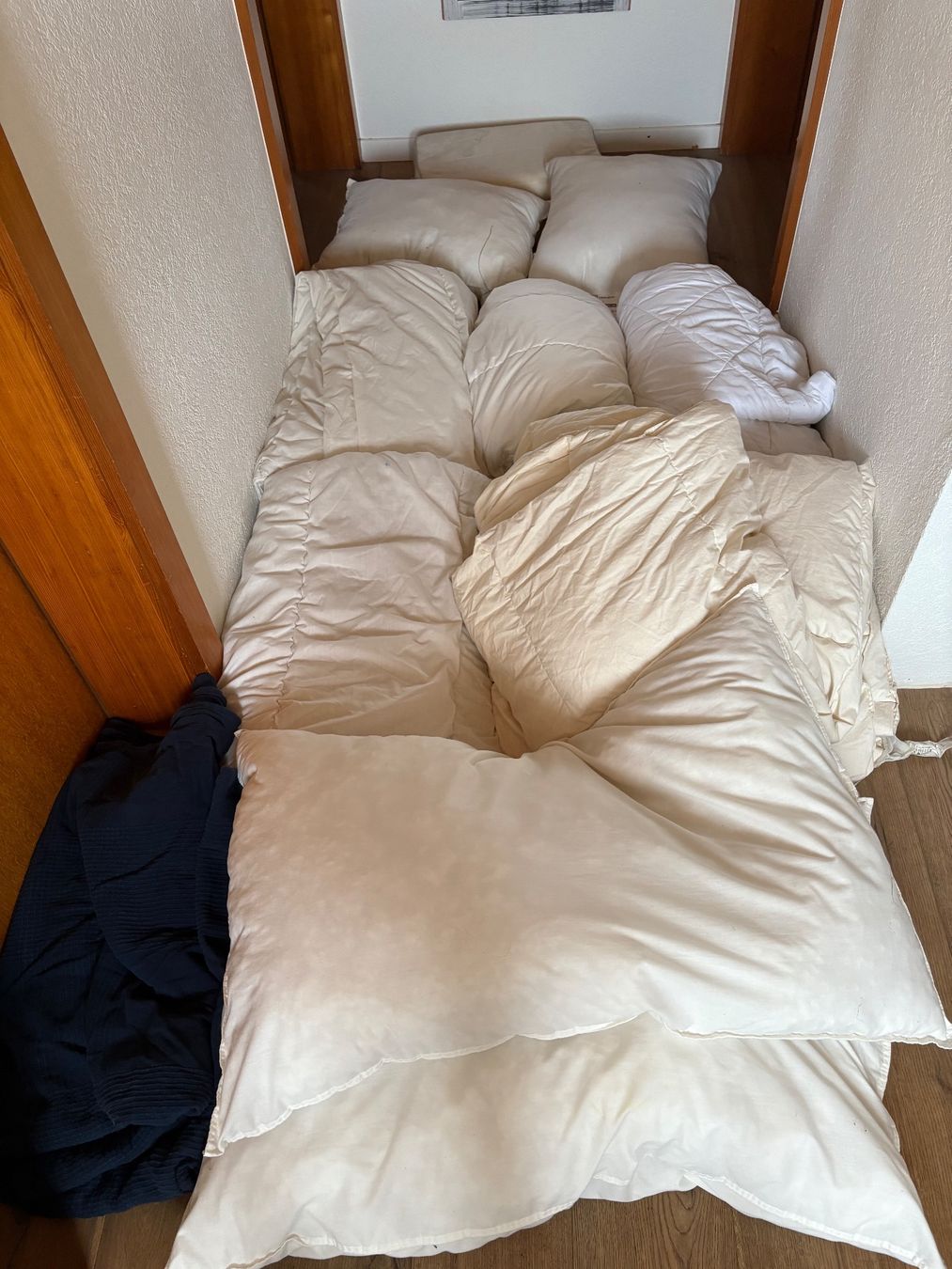 Ikea Coperte: IKEA DUVETS UND KISSEN – Usato da Othmarsingen venduto da shi_z6zz