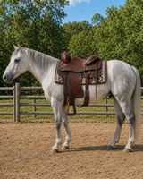 Bequem Westernsattel original aus Kanada