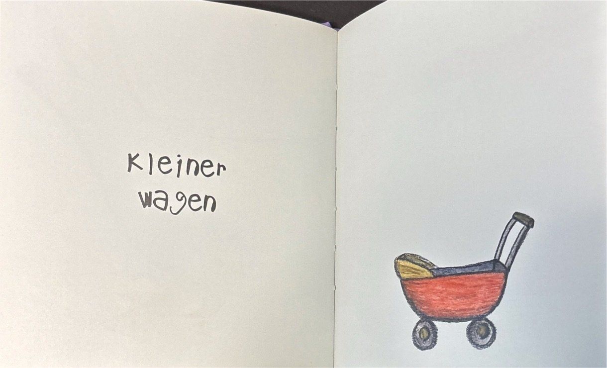 Libri: Kleiner Frosch – Nuovo (secondo la descrizione) da Sarnen venduto da Livres 5