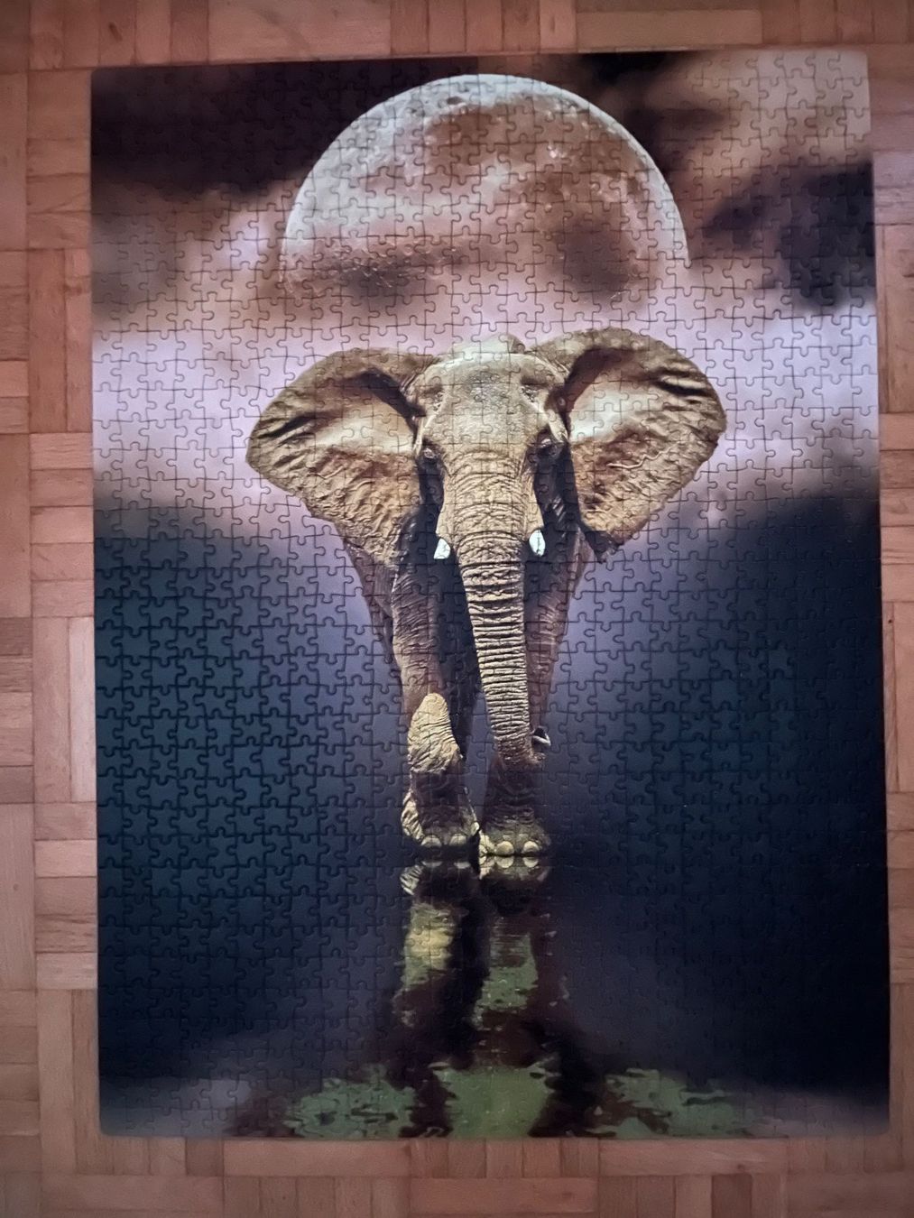 Clementoni Puzzles: Clementoni Puzzle,"The Elephant", Fluorescent – Gebraucht aus Zürich von Gurkis 4