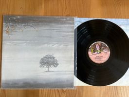Genesis - Wind & Wuthering - Netherlands - 1976 - Charisma