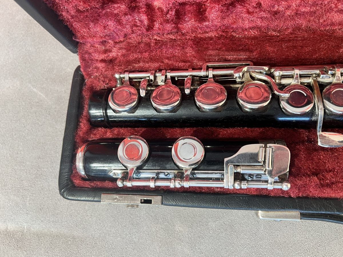 Strumenti musicali: Holz Querflöte  – Usato da Riggisberg venduto da mr.redhorn 2