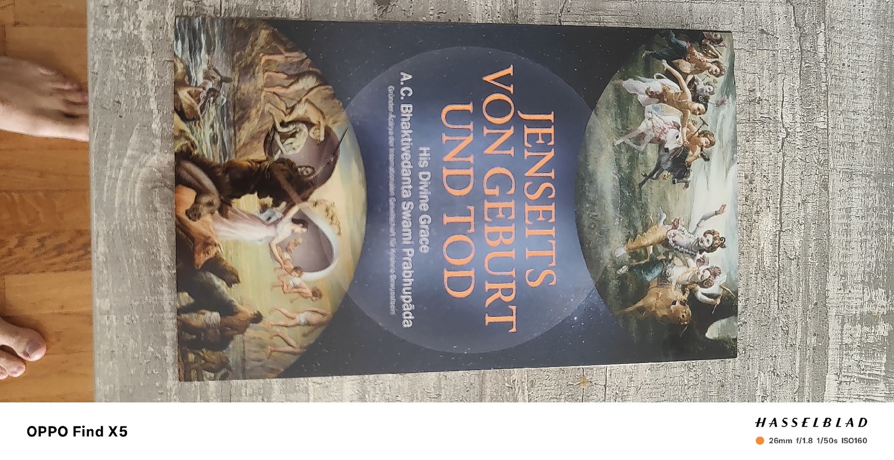 Livres: Sehr interessantes Buch – D'occasion à Unterentfelden par Guck.1Staune2