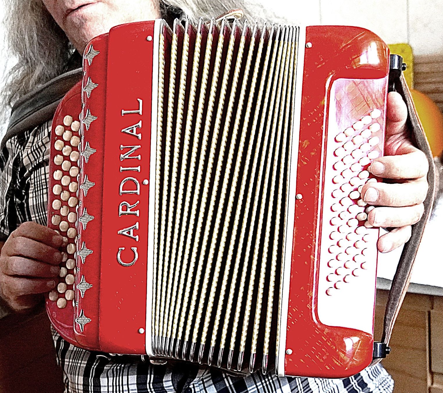 Strumenti musicali: Handorgel Cardinal 60 Bass 2 Chörig – Usato da Baar venduto da 2cvbaar 3