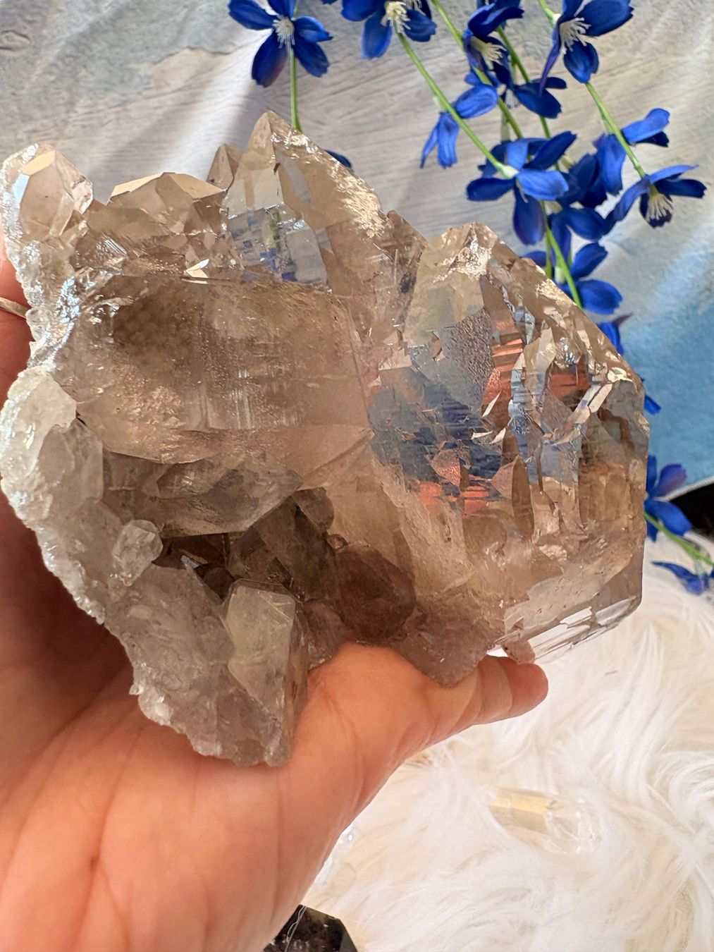 Pietre preziose: Rauchquarz Gwindel Grimelpass – Nuovo e nell'imballaggio originale da Neuheim venduto da m.hald 5
