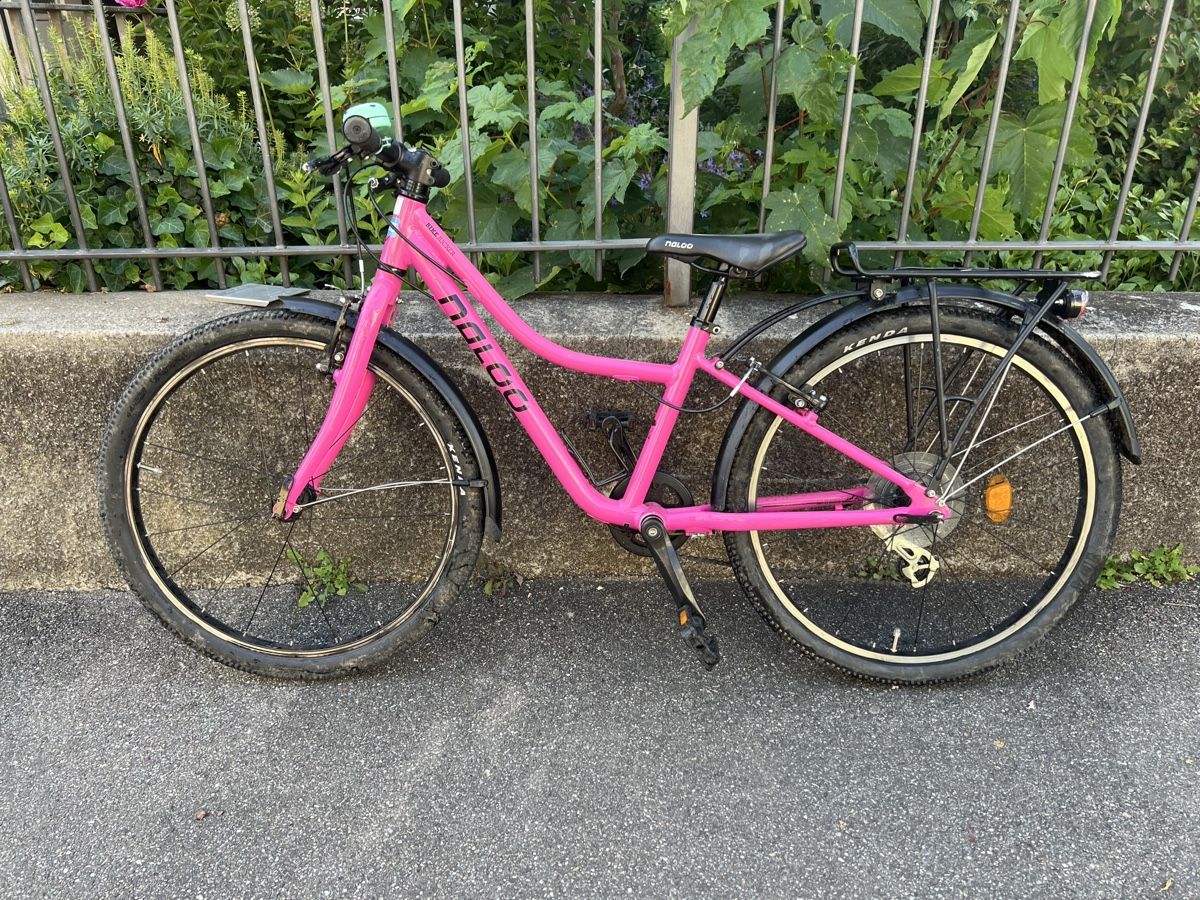 Naloo Biciclette: Naloo 24 Chameleon in pink – Usato da Basel venduto da Chris_4056