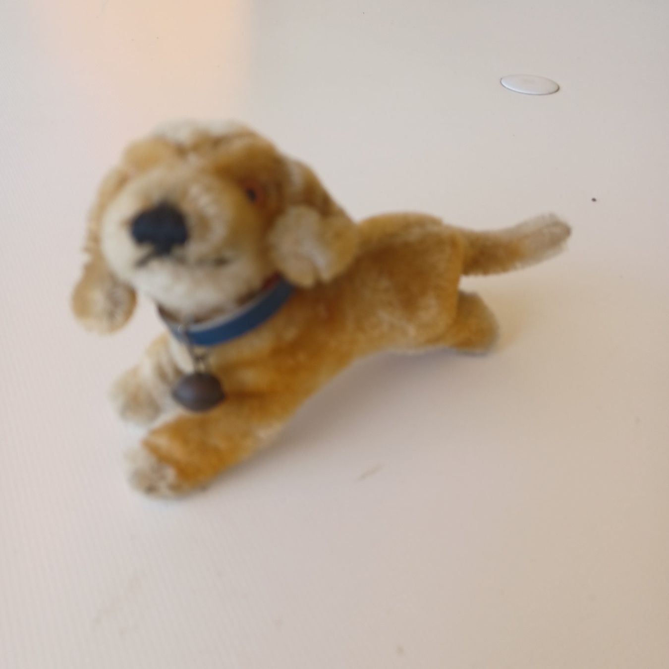 Steiff Giocattoli: Steiff kleiner Hund 10 cm gross – Usato da Abtwil SG venduto da luupsy 2
