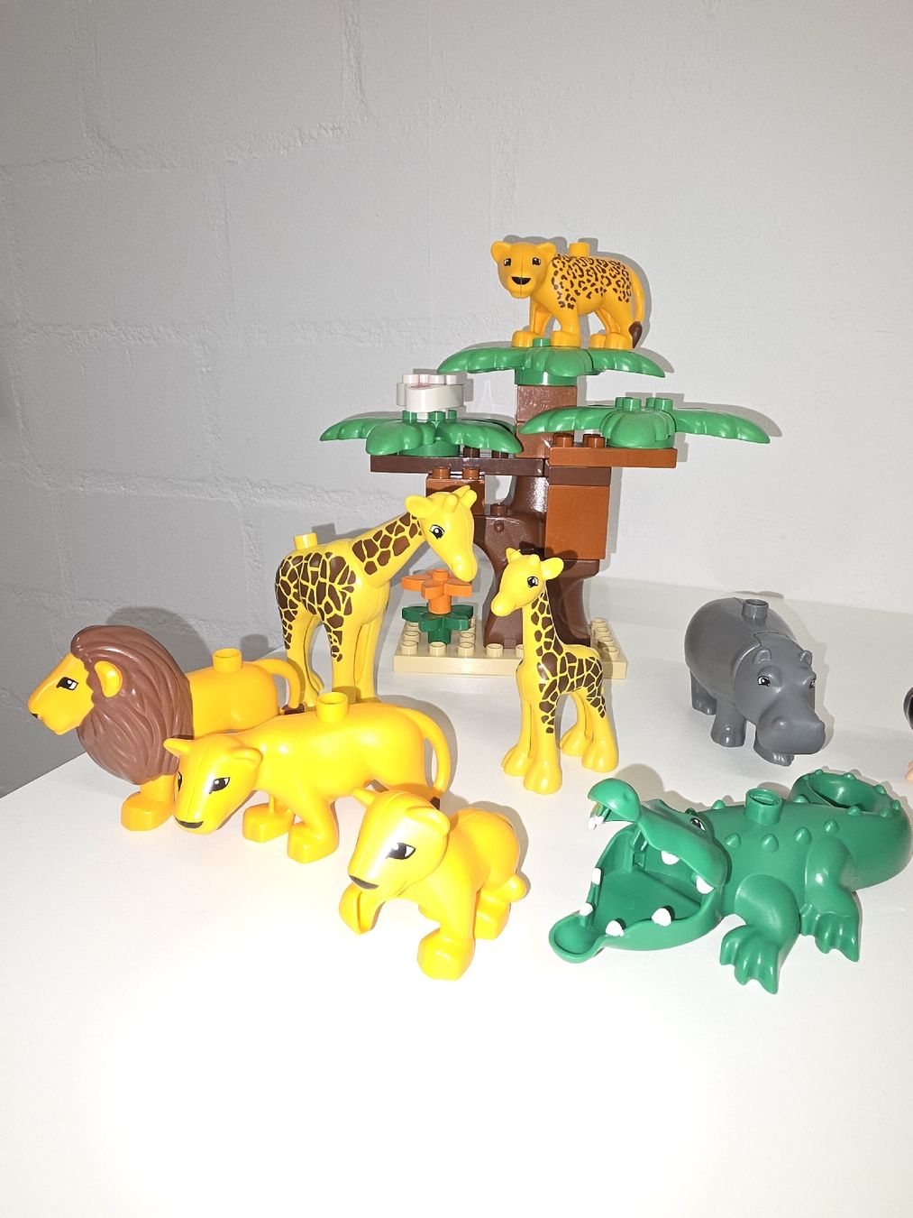 Lego Spielzeuge: Lego Duplo Zoo – Gebraucht aus Arch von Jamoa 2