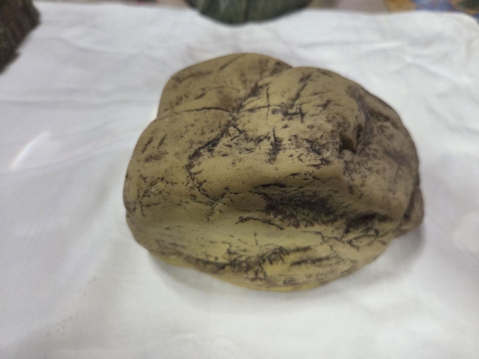 Tutte le decorazioni: grotte pour reptile ou autres  – Usato da Neuchâtel venduto da pasprie 5