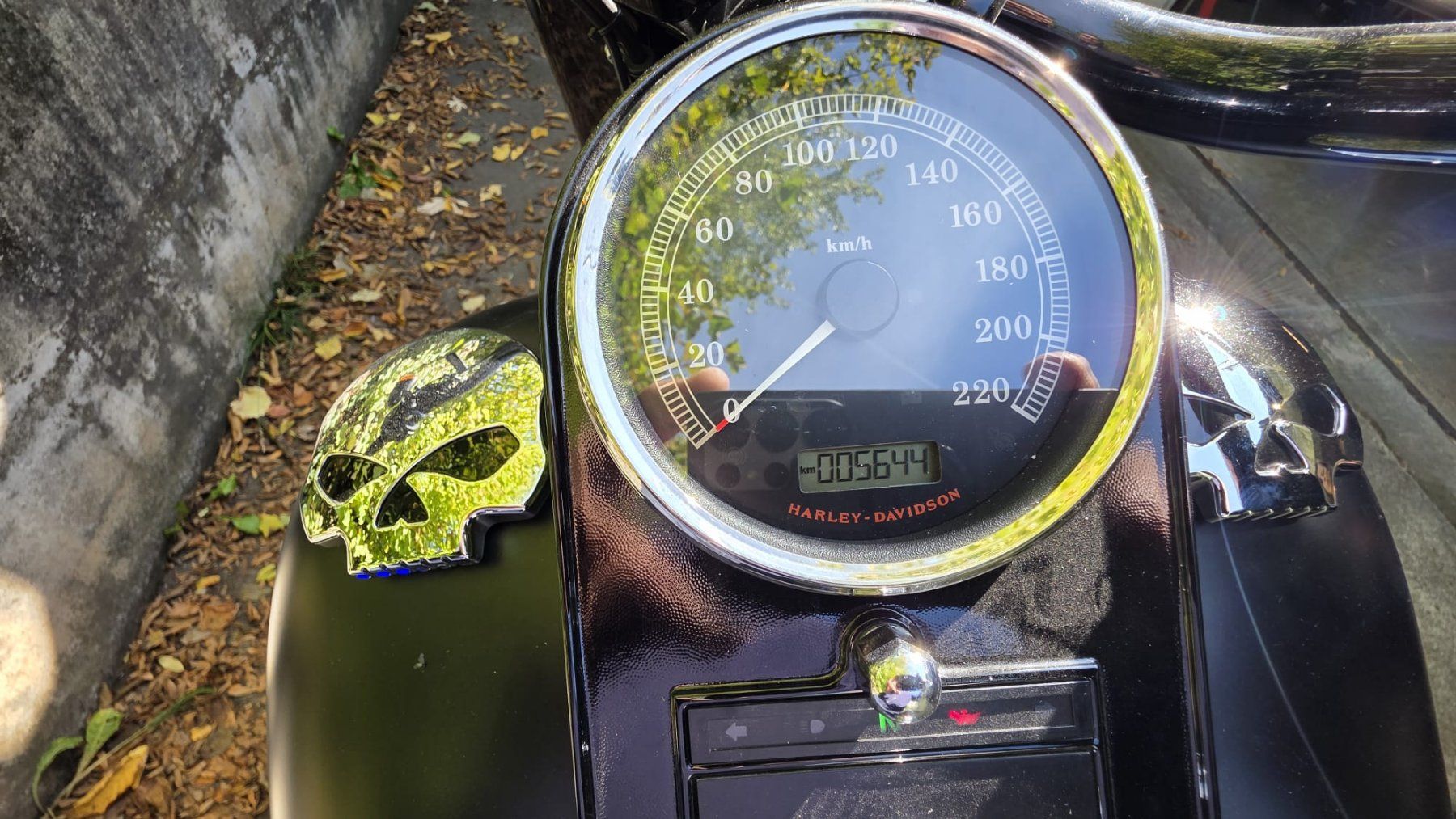 Harley-Davidson Chopper: Harley Davidson FLSTFBS – Gebraucht aus Aesch BL von isc_85jd 2