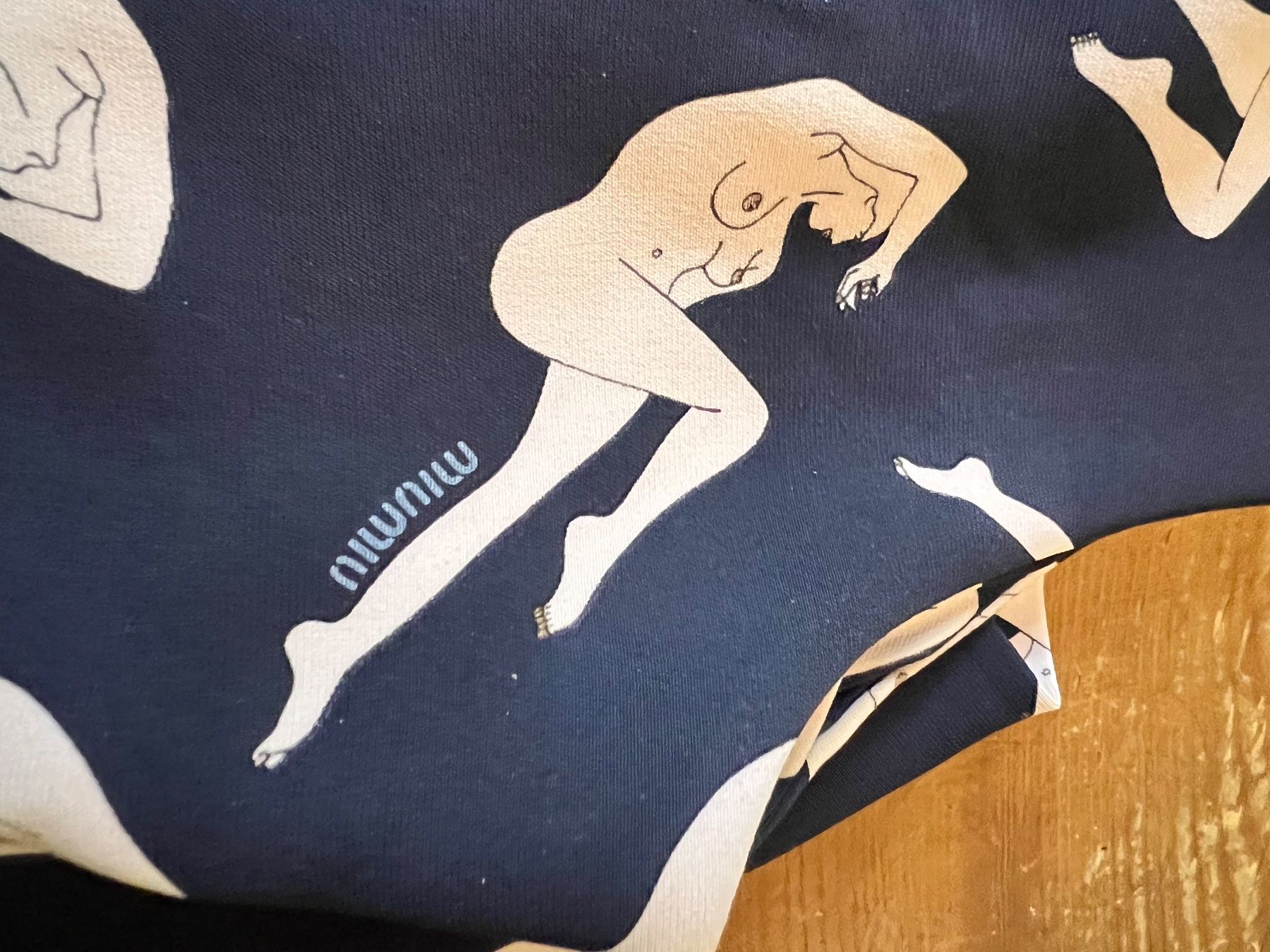 Miu Miu Top: MIUMIU Top mit originellem Print, Gr. S, – Usato da Zürich venduto da sil_wx77 7