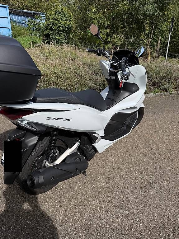Scooter: Honda PCX 125 – Nuovo e nell'imballaggio originale da Neuhausen am Rheinfall venduto da mf_sh 1