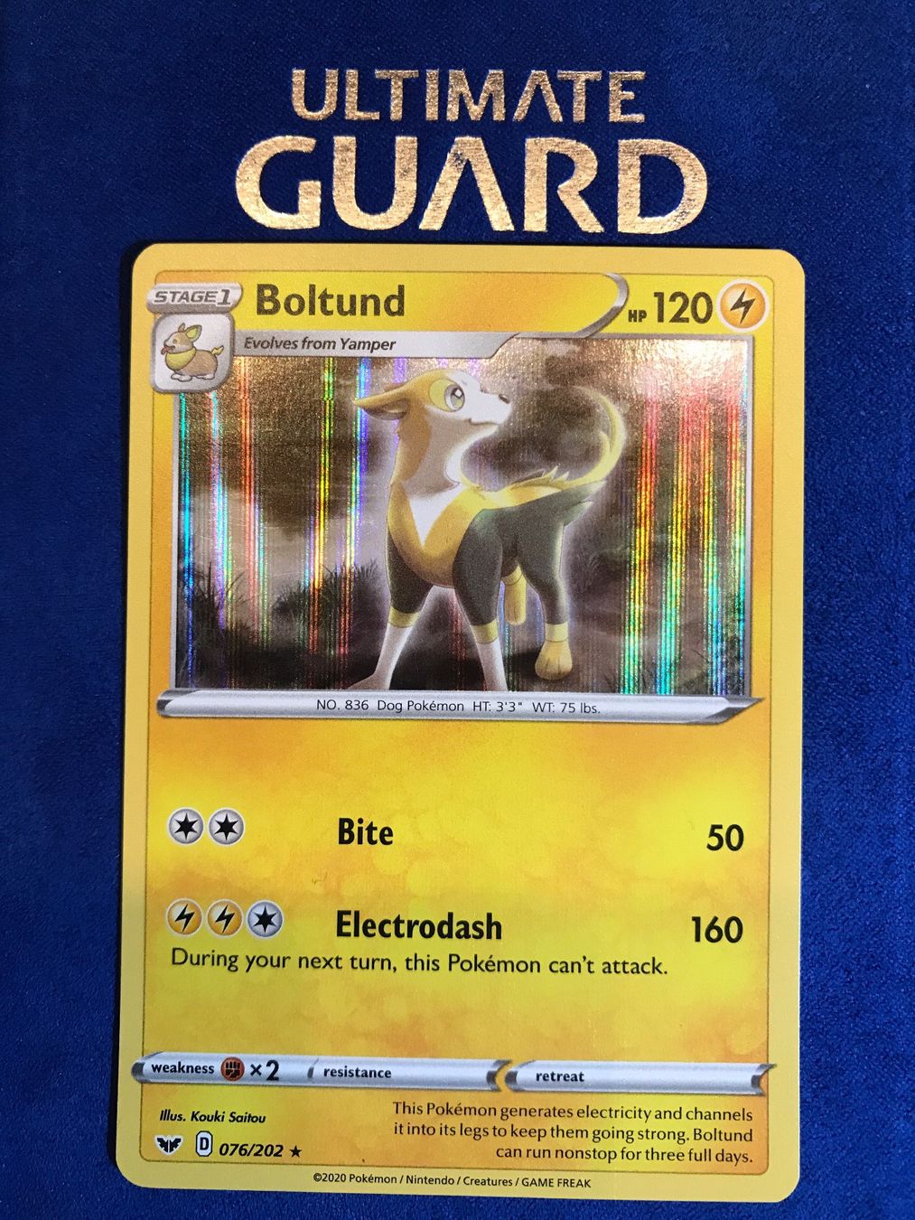 Pokémon Carte collezionabili: Pokemon TCG - Bolthund  EN Holo – Nuovo (secondo la descrizione) da Lyss venduto da DeaDiLuna