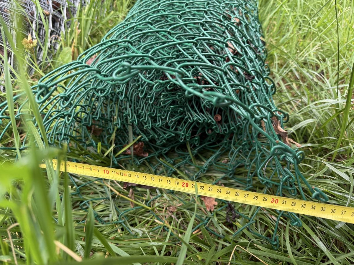 Fendivista: Ab 1Fr! Zaun Diagonalgeflecht Grün – Usato da Oftringen venduto da sar_5sgb 2