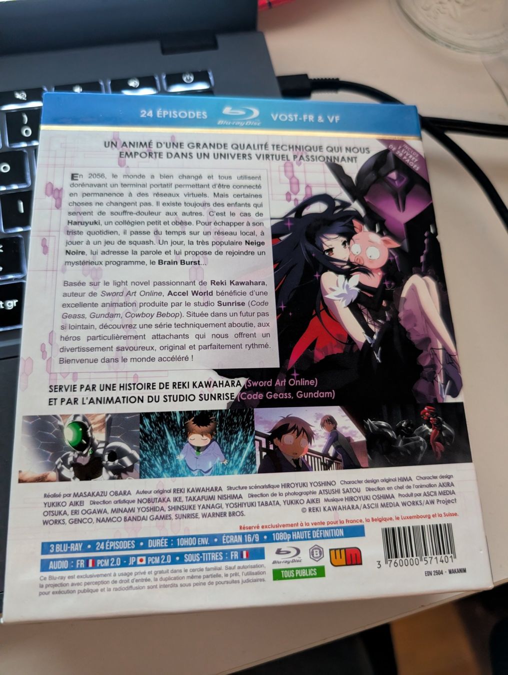 Alle DVDs: Accel World Edition Saphir 24 episodes - Blu Ray DVD Anime – Gebraucht aus Hünenberg See von SpecialEditionGaming 1