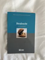 Strafrecht in a nutshell