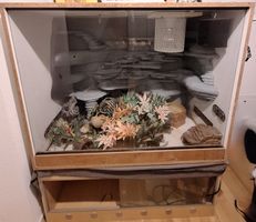 Schlangen-und Quarantäneterrarium