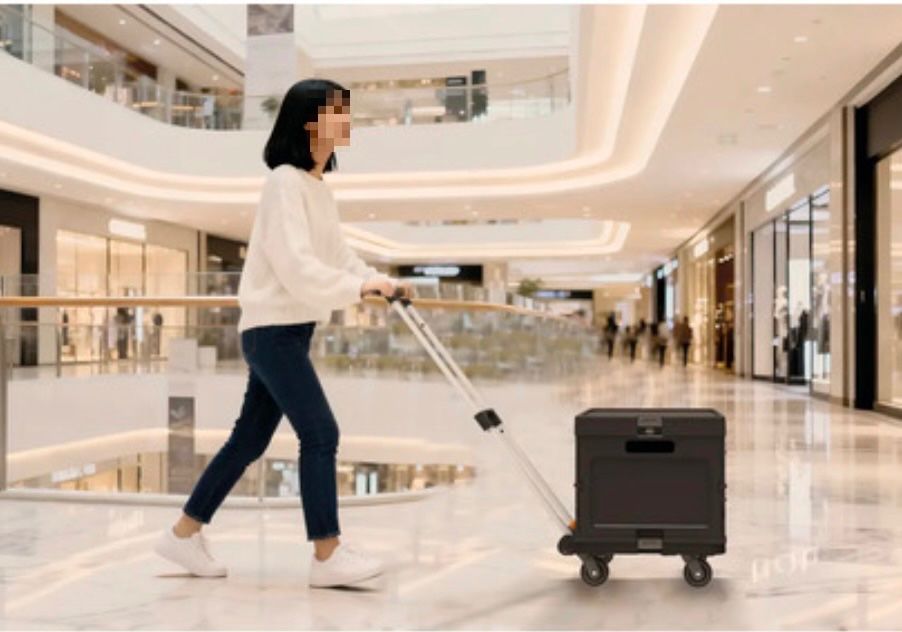Carrelli di trasporto: Der unersetzliche multifunktionale Transportwagen – Nuovo e nell'imballaggio originale da Rüttenen venduto da atwork-tools 4