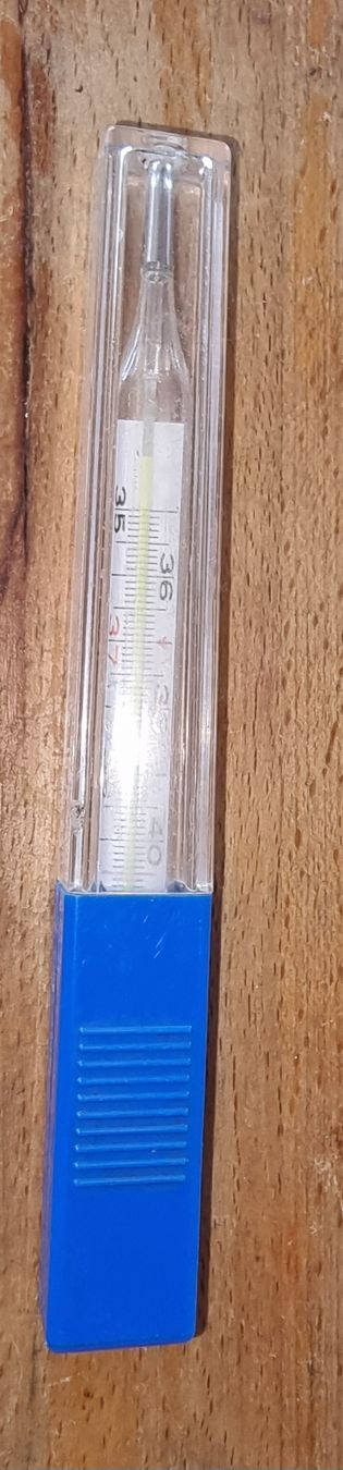 Sonstiges für Haushalt & Wohnen: Fieberthermometer Glas mit Hülle – Gebraucht aus Rifferswil von sandra0010 2