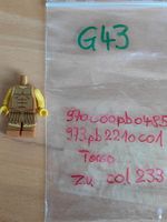 Legoteile:-  Torso und Beine bedruckt zu  col233  /G43