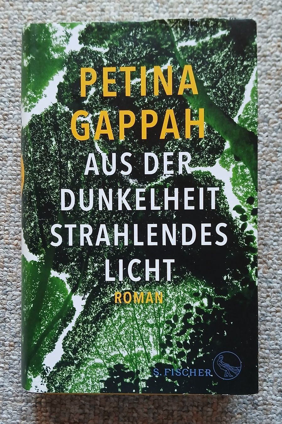Bücher: Aus der Dunkelheit strahlendes Licht – Gebraucht aus Oberrieden von sib_nkf6