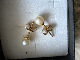 585 Gold Ohrringe