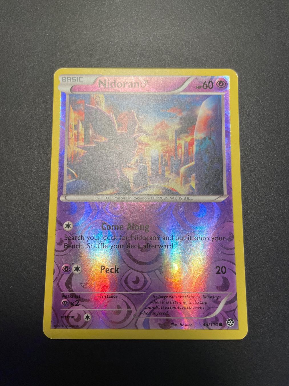 Pokémon Sammelbilder & Trading cards: Nidorano 43/114 Steam Siege Reverse Holo – Gebraucht aus Zürich von pokemon_cards