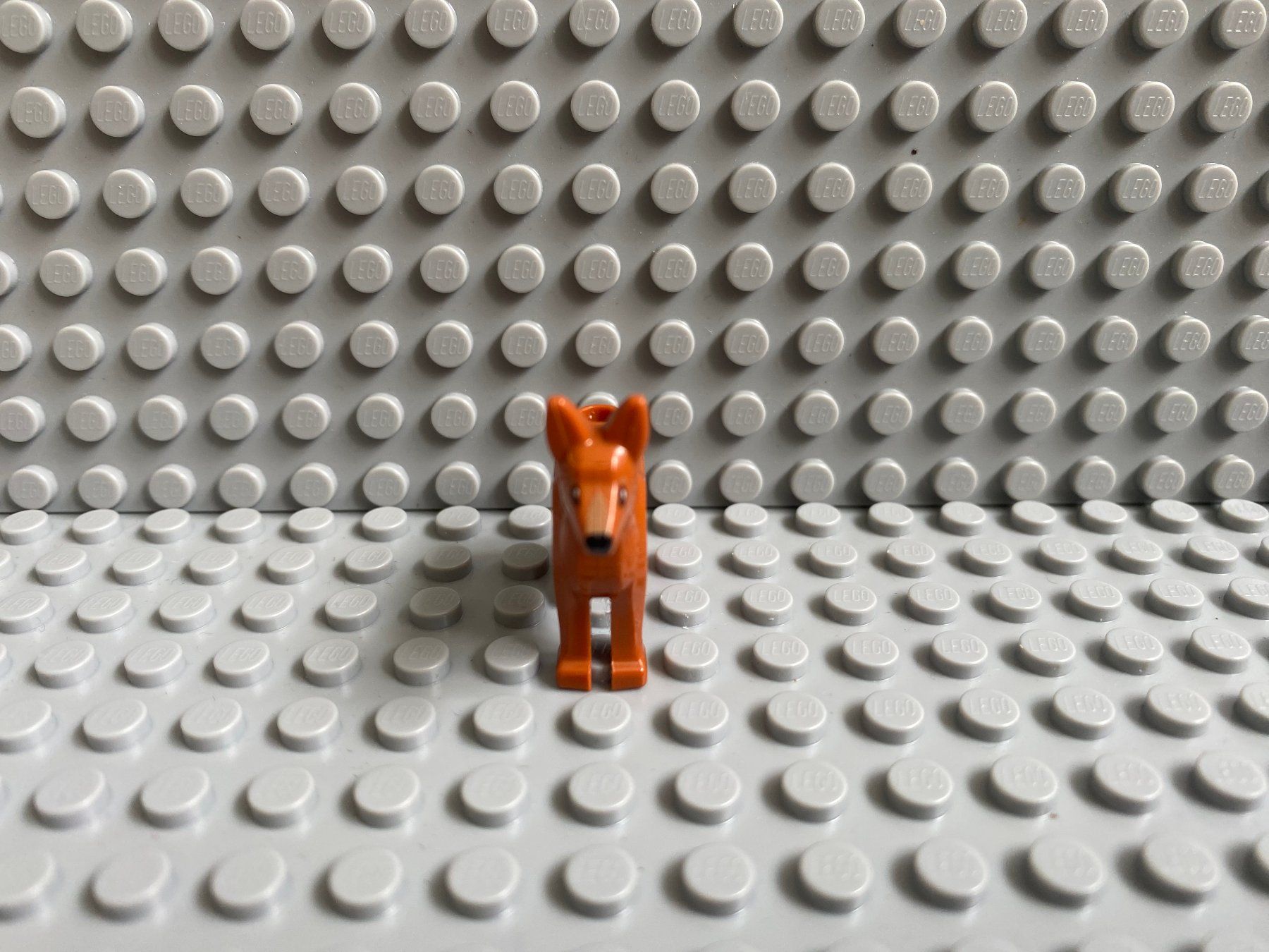 Lego Kit di costruzioni: Lego Tiere - Hund – Nuovo (secondo la descrizione) da Horw venduto da G39517sG 2