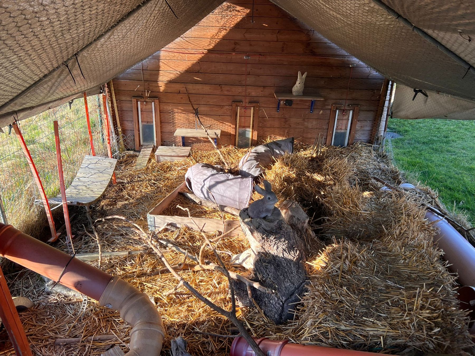 Abris: Gebrauchter Hasenstall / Kleintierstall – D'occasion à Mötschwil par Elzard 4