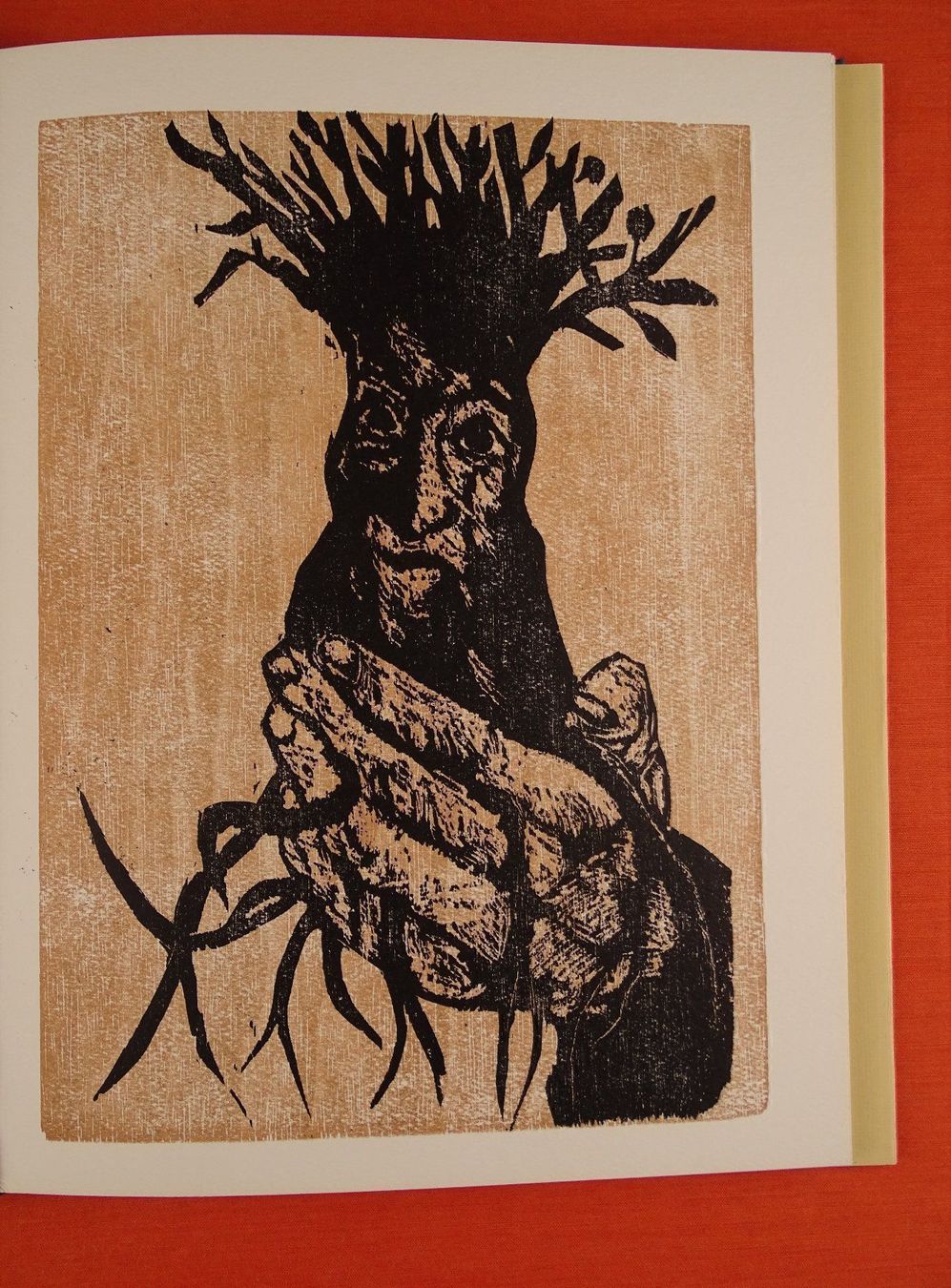 Livres: DIE KÖNIGIN DES EMMENTALS, HOLZSCHNITTE – D'occasion à Grüningen par Kartensammler 7