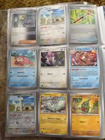 Pokémon Sammler Karten 