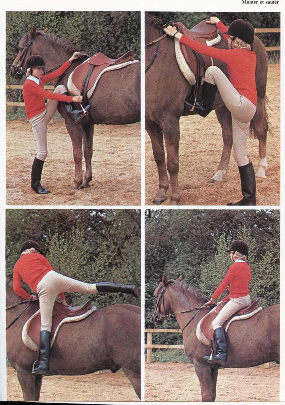 Livres: Le cheval sans problème – D'occasion à Les Avants par Jaman7 3