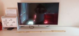 Télévision avec suport mural+ mit Kasten WIFI für F-Bedinung