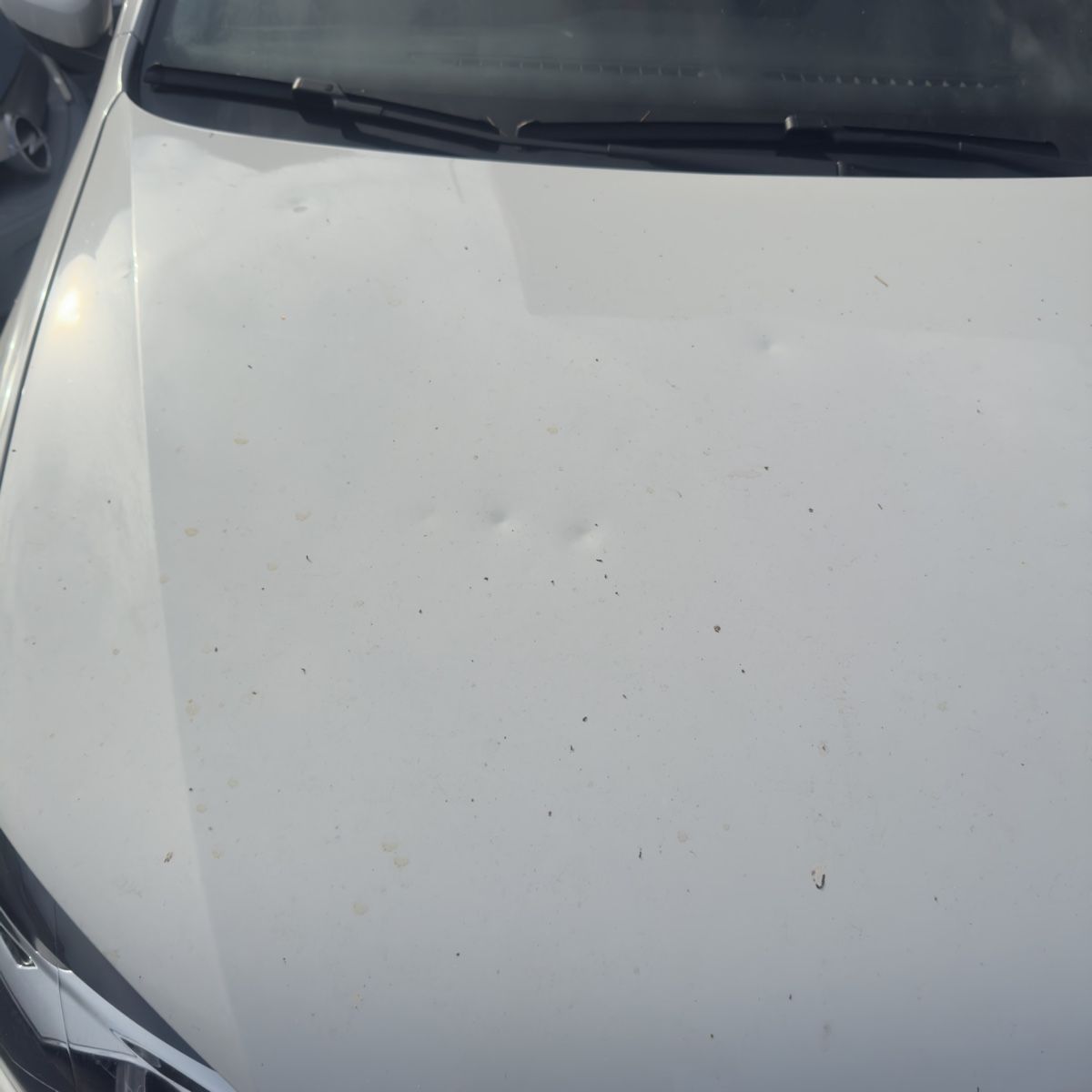 VW Autos: VW polo 1.2 – Gebraucht aus Zollikofen von nha_825x 3