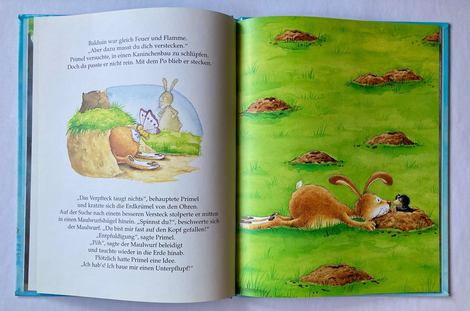 Livres: PRIMEL UND DAS ALIBI – Neuf (Voir description) à Bubendorf par Alpenheidi 7