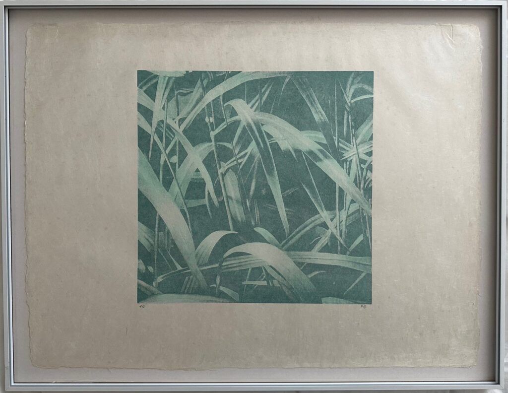 Grafica & Litografie: Franz Gertsch Litho Gräser II – Usato da Luzern venduto da Luzernistschoen