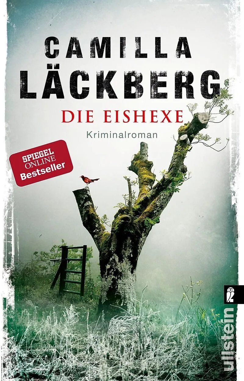 Bücher: 10 Krimis/Thriller – Gebraucht aus bern von jeannie2006 3