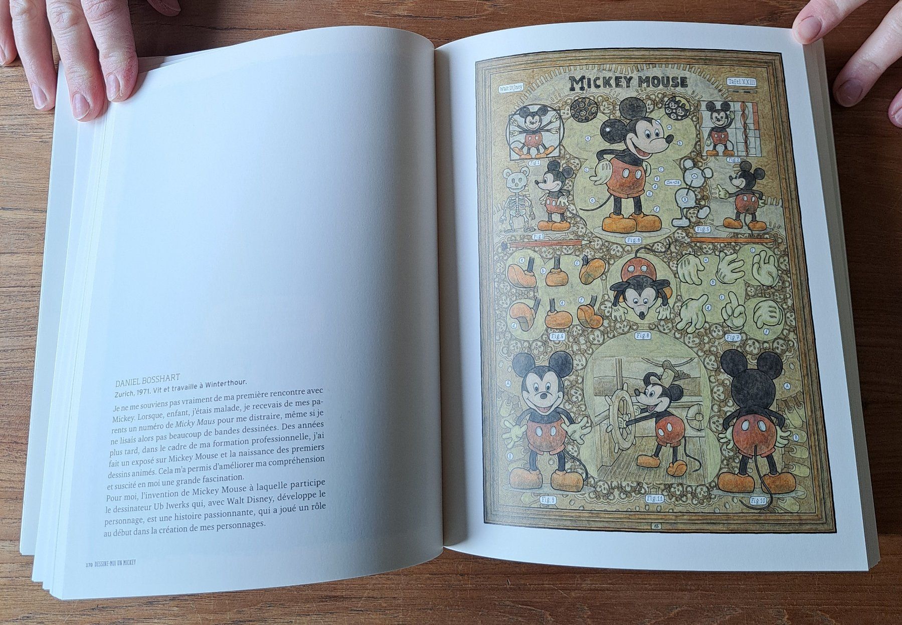 Comics: Bédéphile 2015 – Gebraucht aus Biel/Bienne von ESOXMAN 8