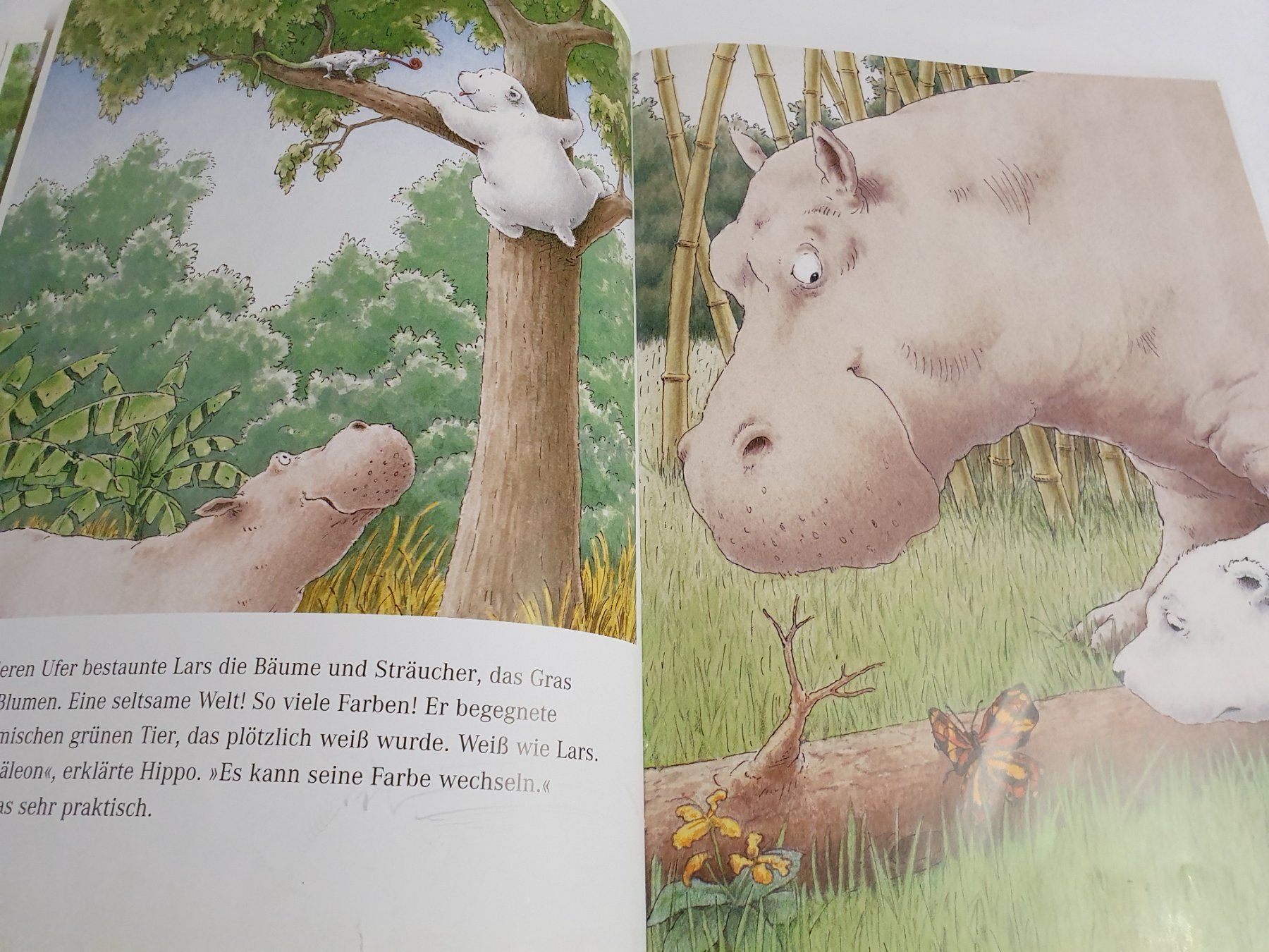 Libri: Kleiner Eisbär wohin fährst du? – Usato da Oberdorf BL venduto da BaldenEagle 2