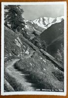 Piz Palü - Höhenweg 1954